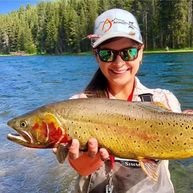 Maggie Heumann holding a Yellowstone cutthroat trout while fly fishing, highlighting trout food and aquatic insect-driven feeding behavior