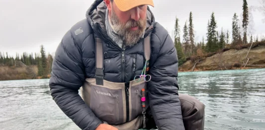 alaska steelhead