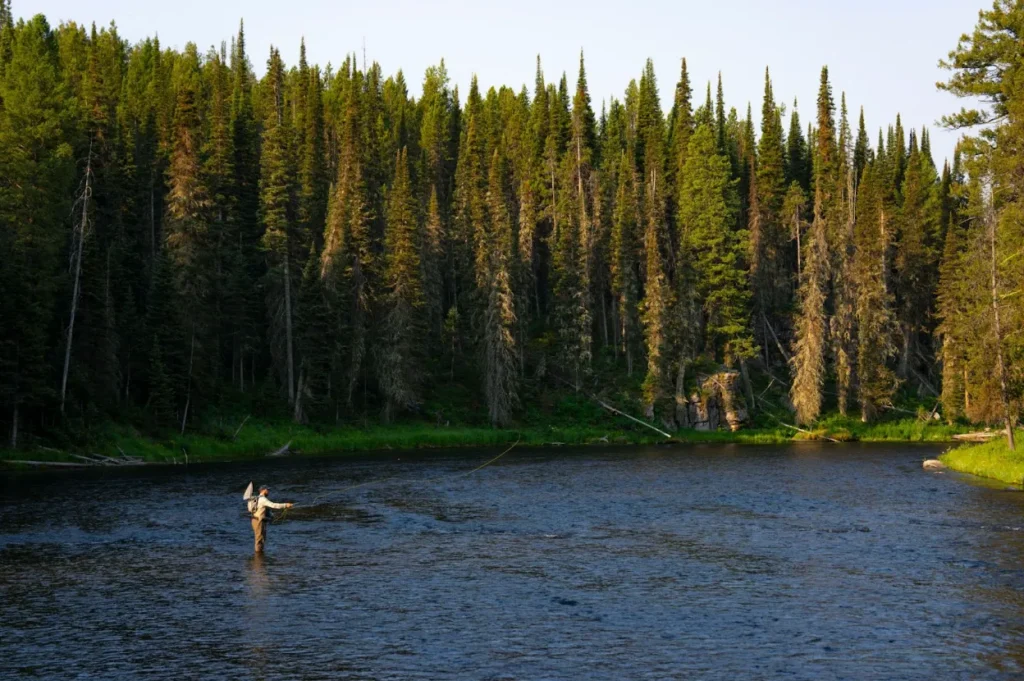 big bug fly fishing