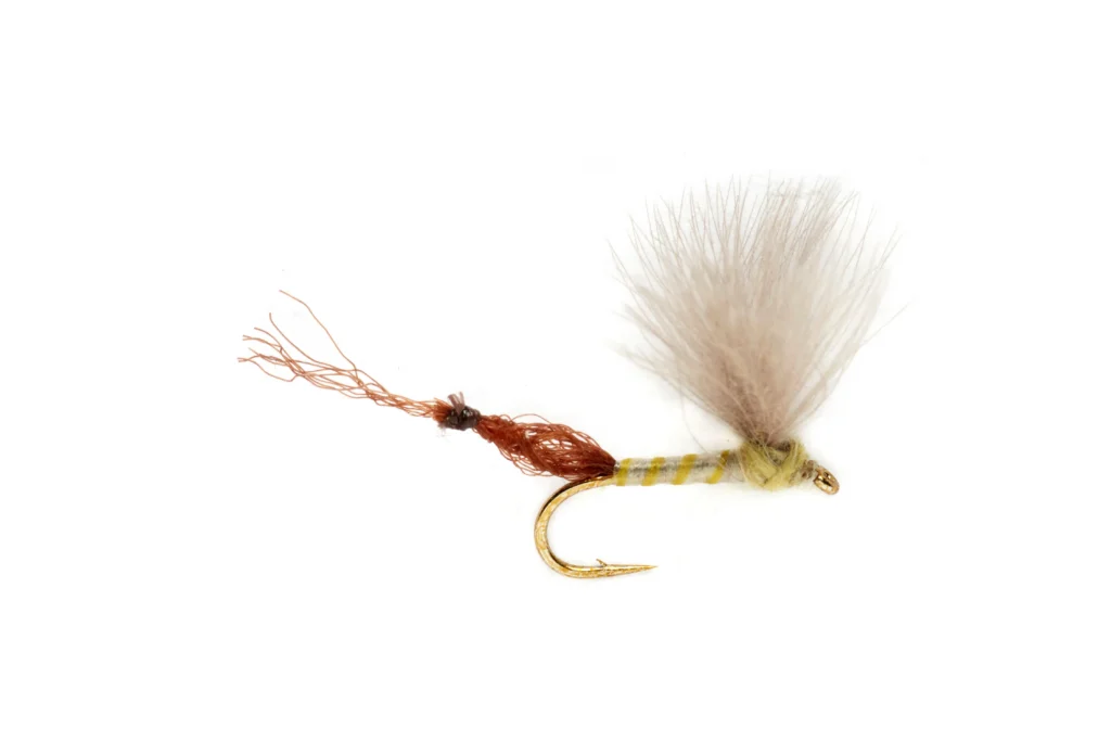big bug fly fishing