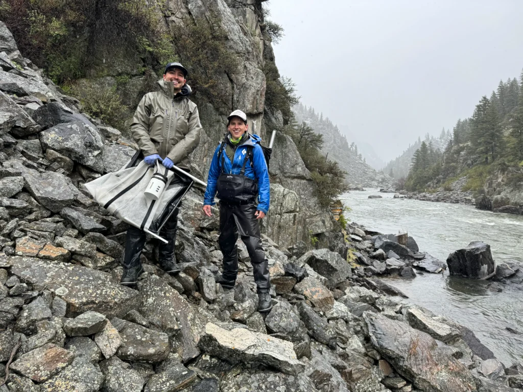 Salmonfly Project