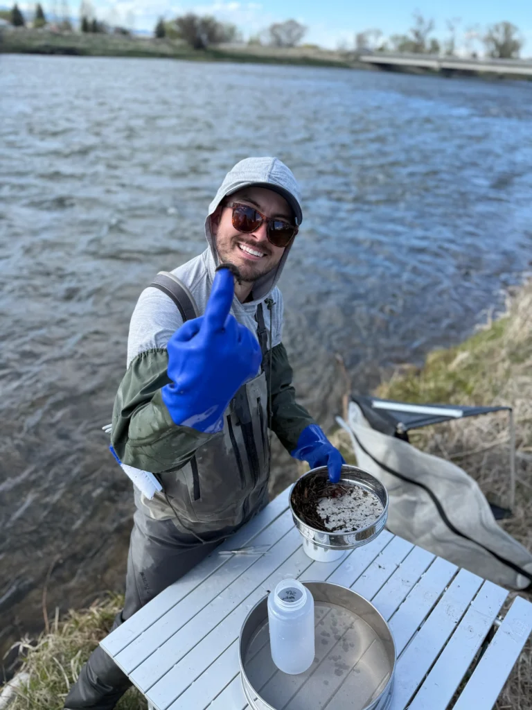 Salmonfly Project