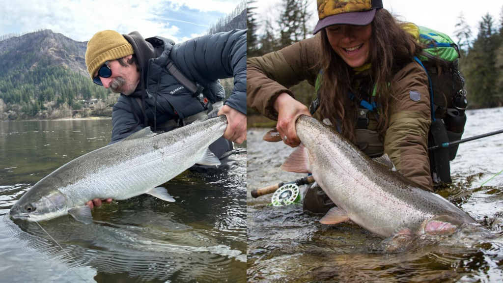 best 5wt fly reels 2019 Best Fly Fishing Reels 2026