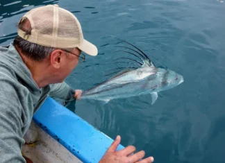 920 | Fly Fishing Baja and Chasing Roosterfish with John Hunt from Moccasin Fly Club fly fishing baja