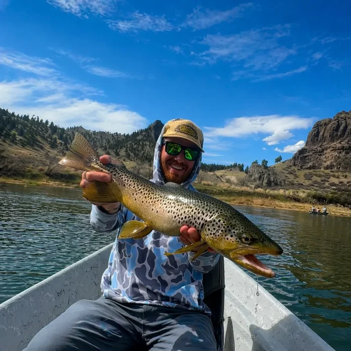 dry fly fishing montana