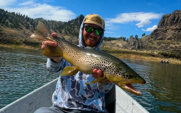 dry fly fishing montana
