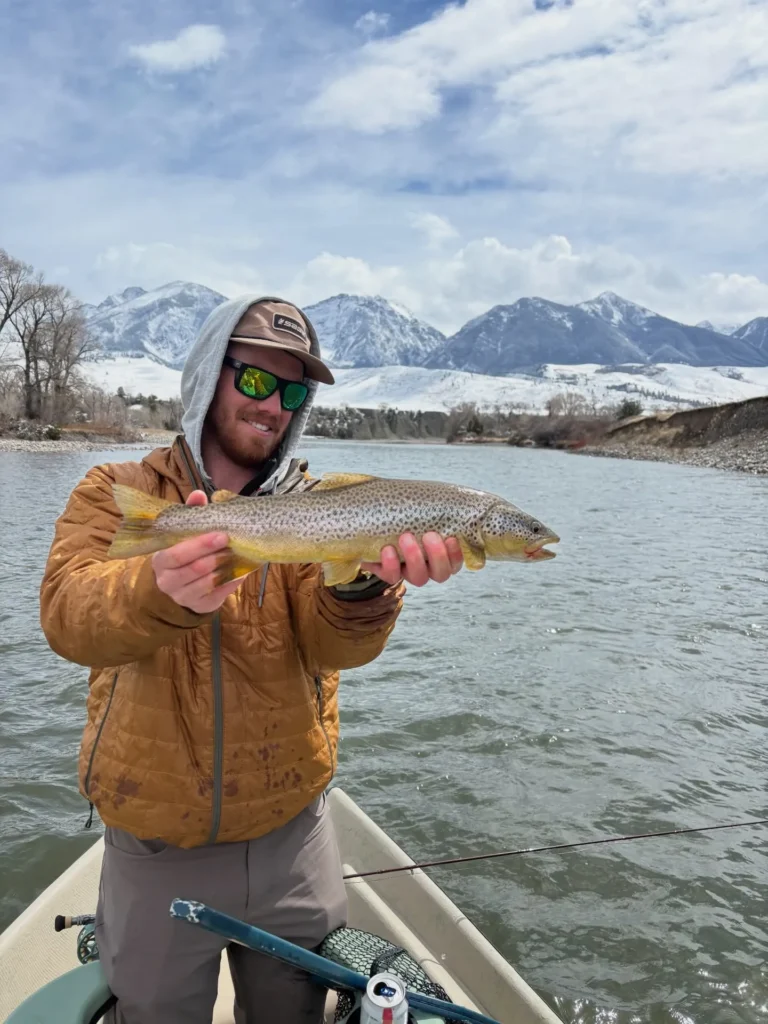 dry fly fishing montana