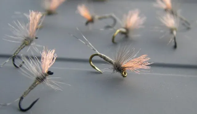 Taka's Emergers - Dry Dropper Fishing with Jason Randall