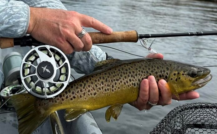 best all around st croix casting rod GXR Bass cf-action-fast Size:SLX-50WIIb from finesse presentations to Okuma Classic Pro GLT