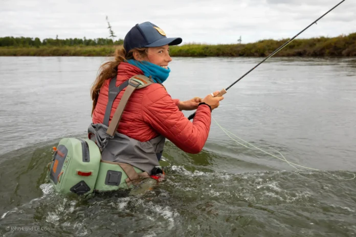 science on the fly