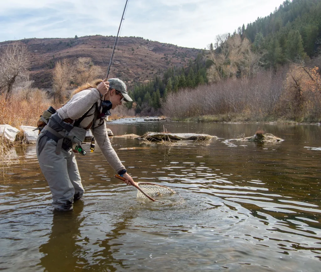 science on the fly