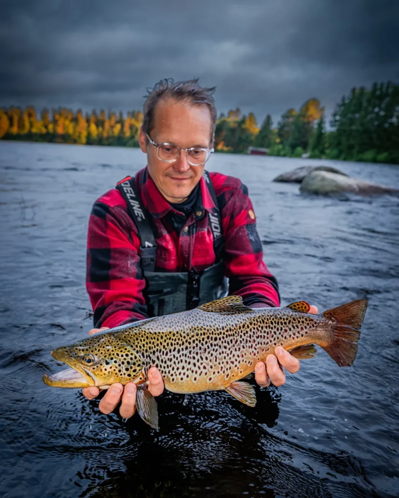 brown trout fly fishing