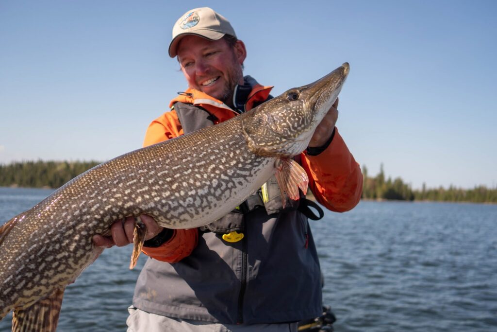 giant pike