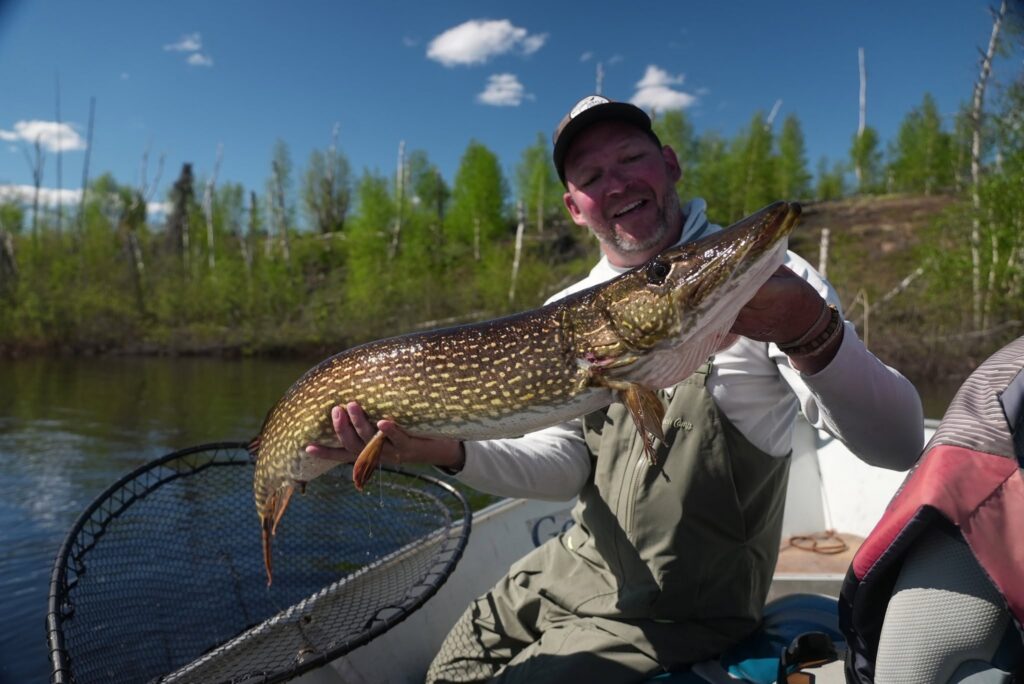 giant pike