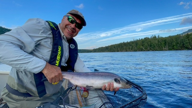 newfoundland atlantic salmon