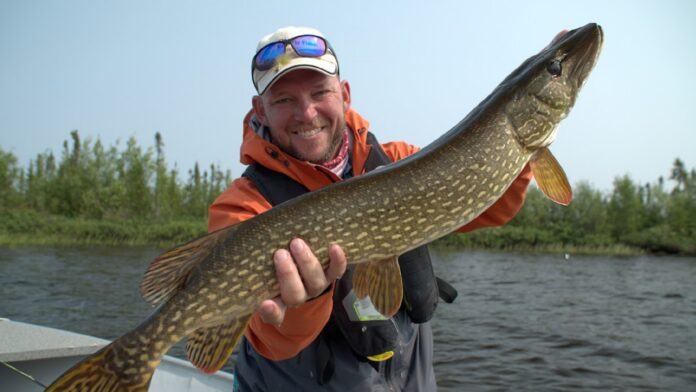 giant pike