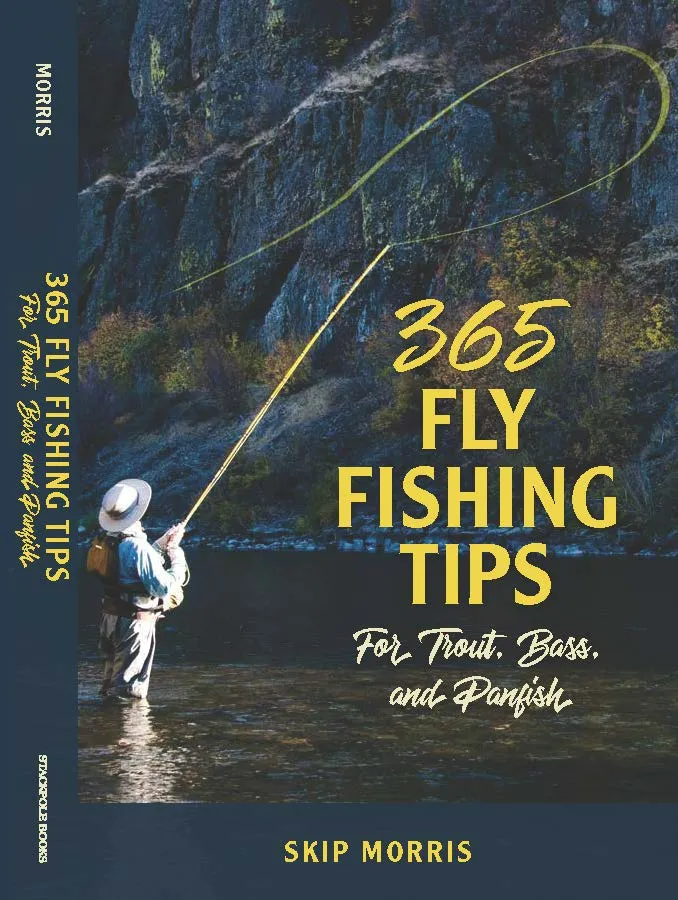  365 Fly Fishing Tips by Skip Morris