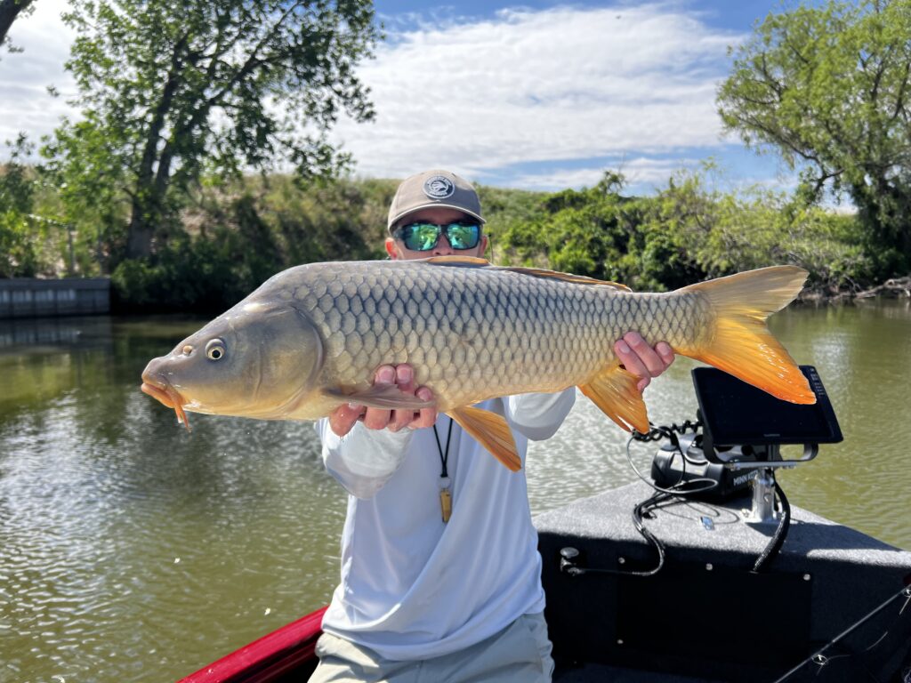 Colorado Fly Fishing