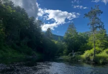 974 | Trout Unlimited’s Chris Wood on Conservation, Public Lands, and the Power of Anglers Trout-Unlimited-Conservation.webp