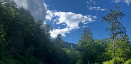 Trout-Unlimited-Conservation.webp