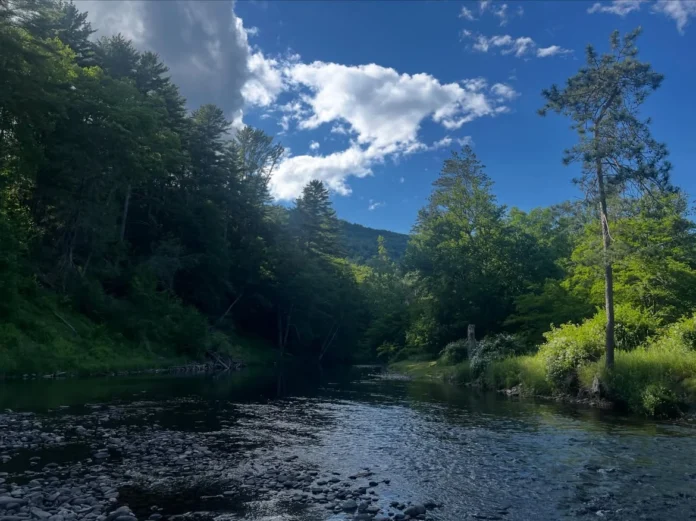 Trout-Unlimited-Conservation.webp