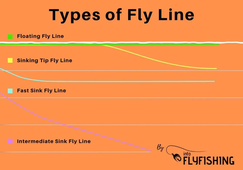types-of-fly-line