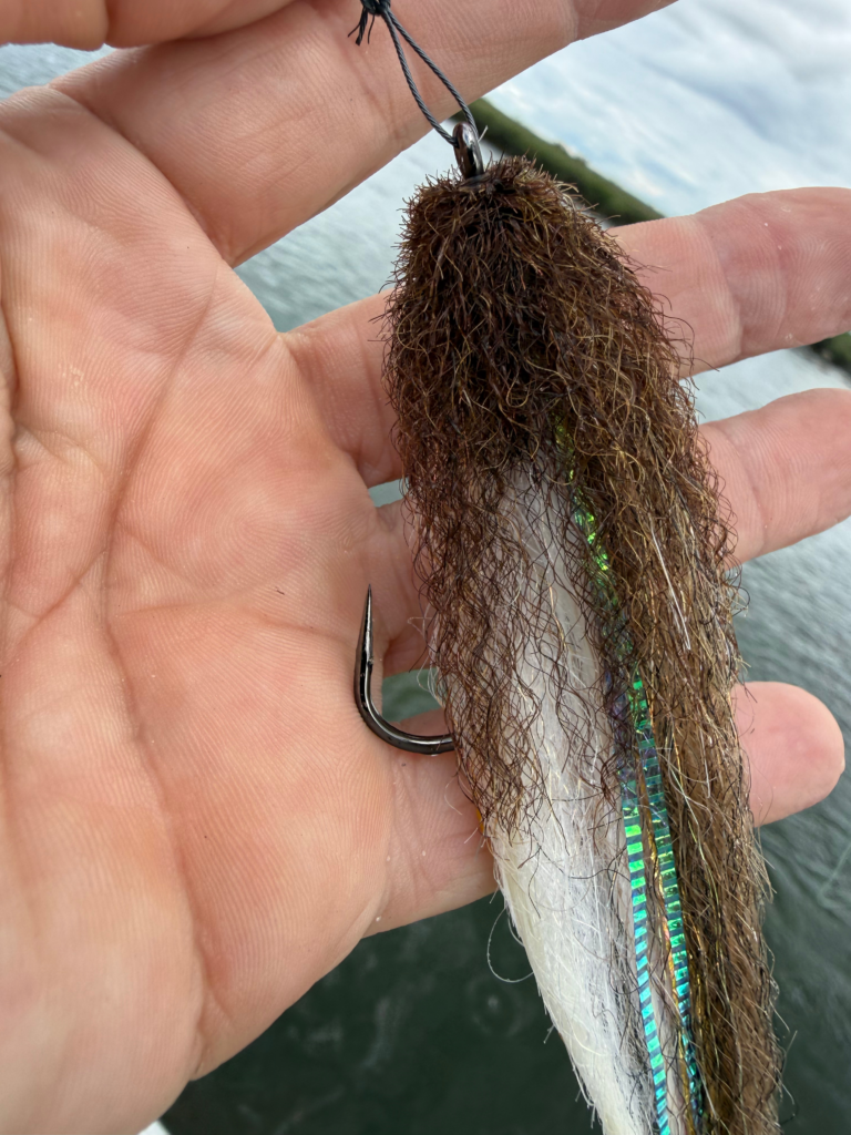 trophy pike