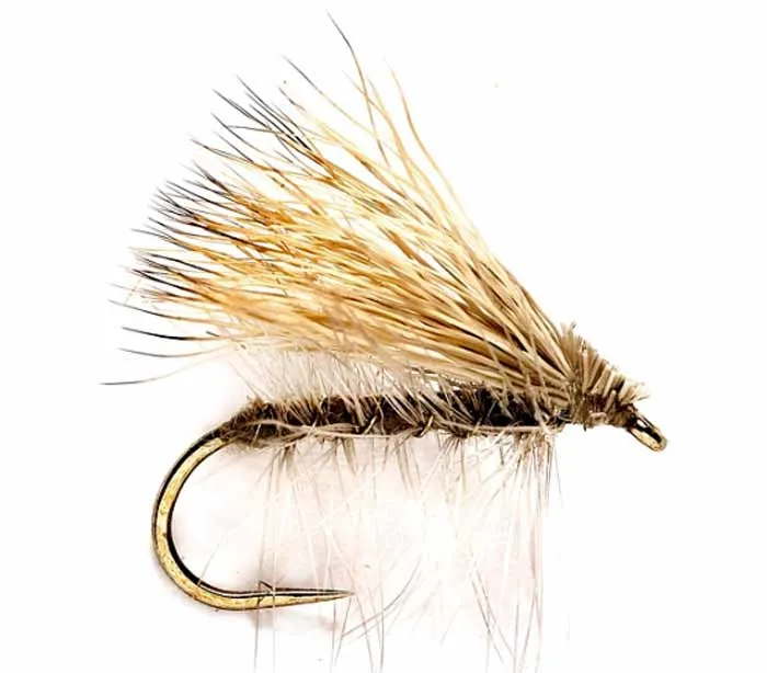 Community Fly Fishing with Austin Campbell