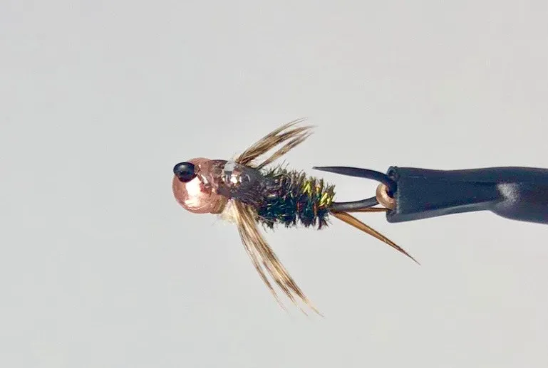 Swinging Flies for Trout and Summer Steelhead with Jim Sens - Imporved Jigged Tungsten 20 incher 