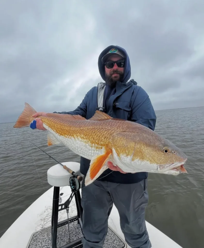 Big Predator Flies: Fly Tying and Destination Fishing with Max Rivetta