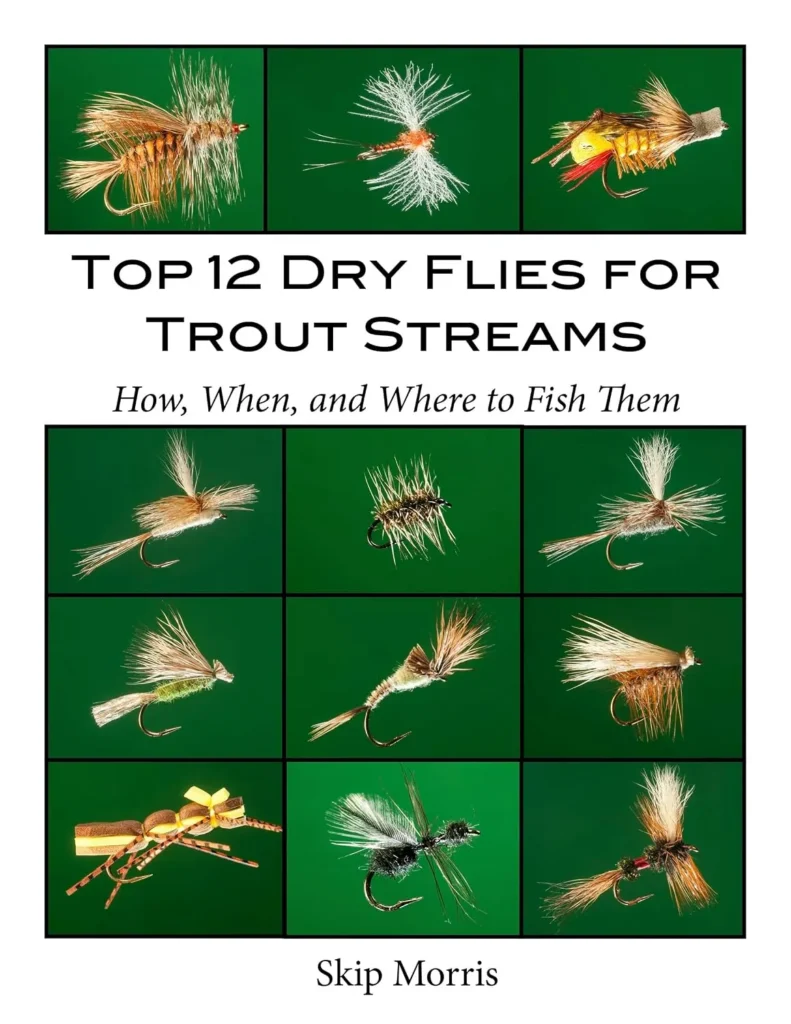 top-12-dry-flies-for-trout-streams-book.webp
