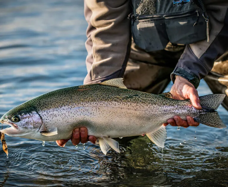 Alaska-Trout-Fishing-Arian-Stevens.