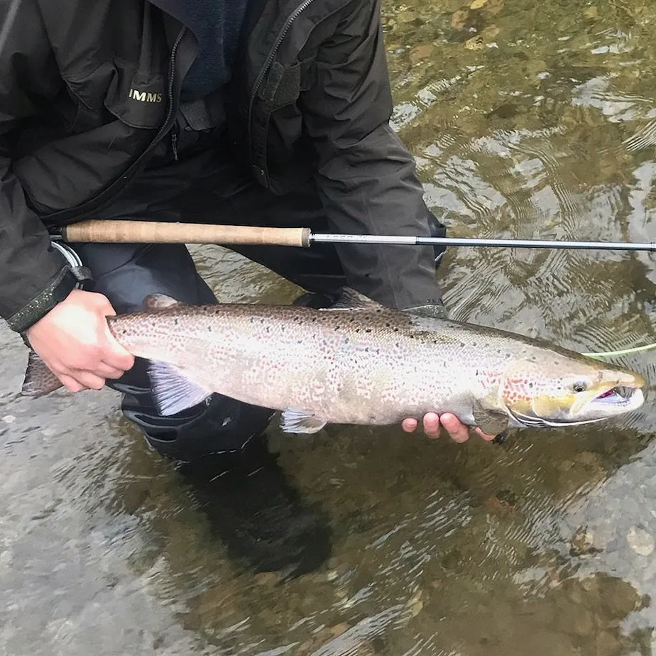 Atlantic-Salmon-Fishing.
