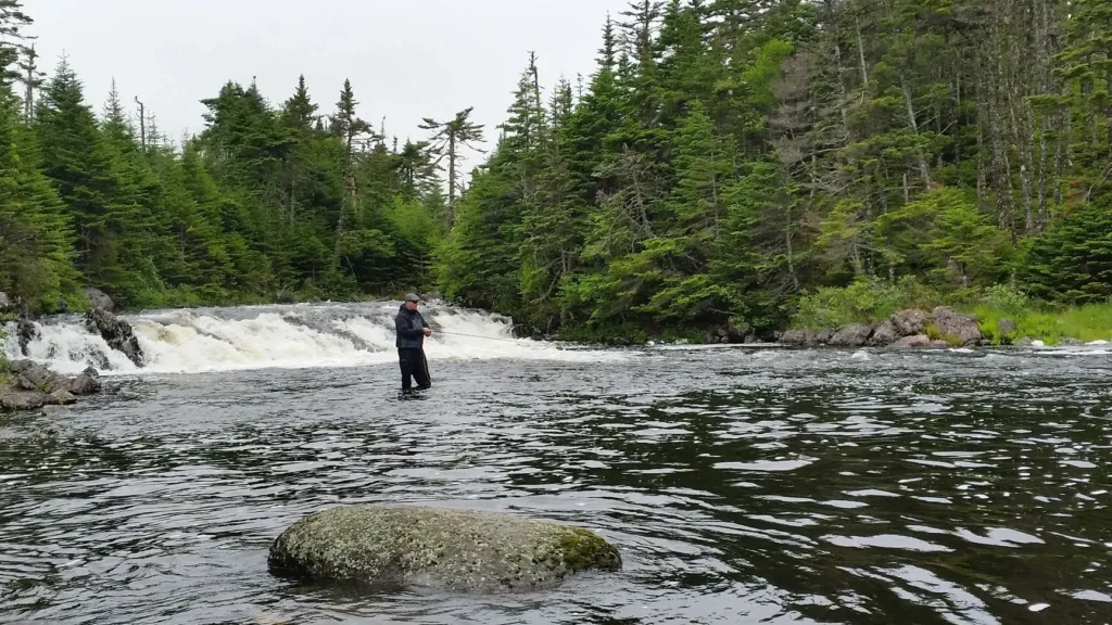 Atlantic-salmon-fishing-at-backcountry-waters.