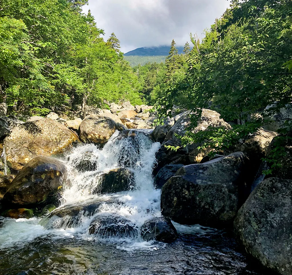 Brook-Trout-Stream-New-Trout-Water.