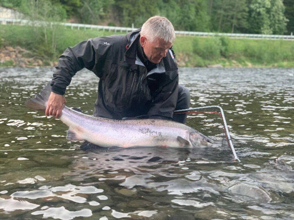 atlantic salmon fishing in norway
