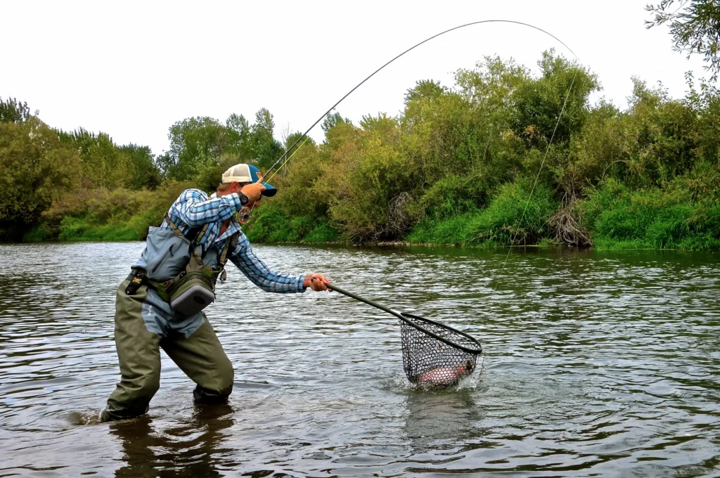 Keep-Fish-Wet-Catch-and-Release.