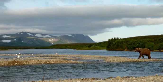 Moraine-Creek-Alaska-Trout-Fishing.