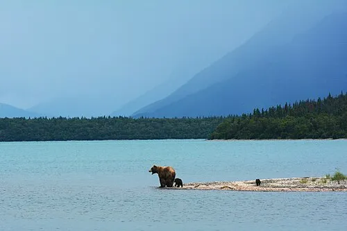 Naknek-Alaska-Trout-Fishing.