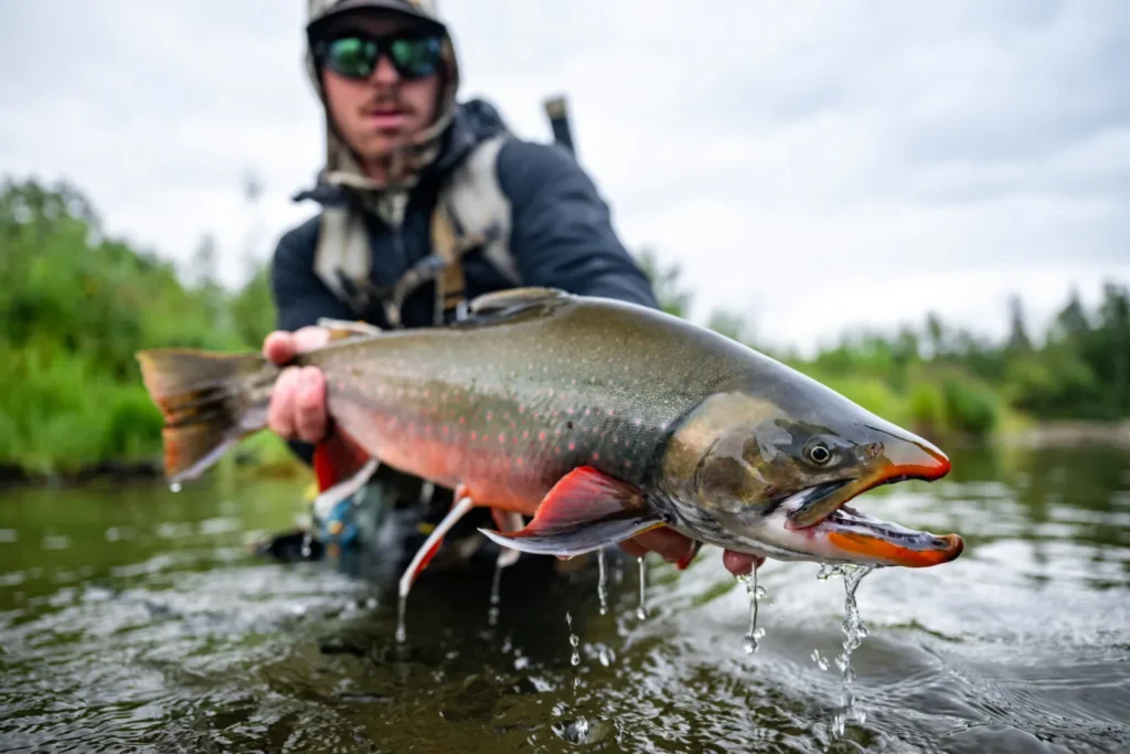 No-See-Um-Lodge-Arctic-Char-Alaska-Trout-Fishing.