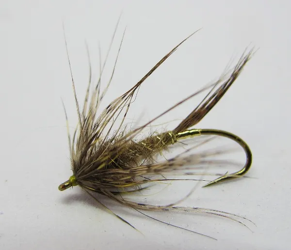 Trout Spey and the Art of the Swing with Steven Bird