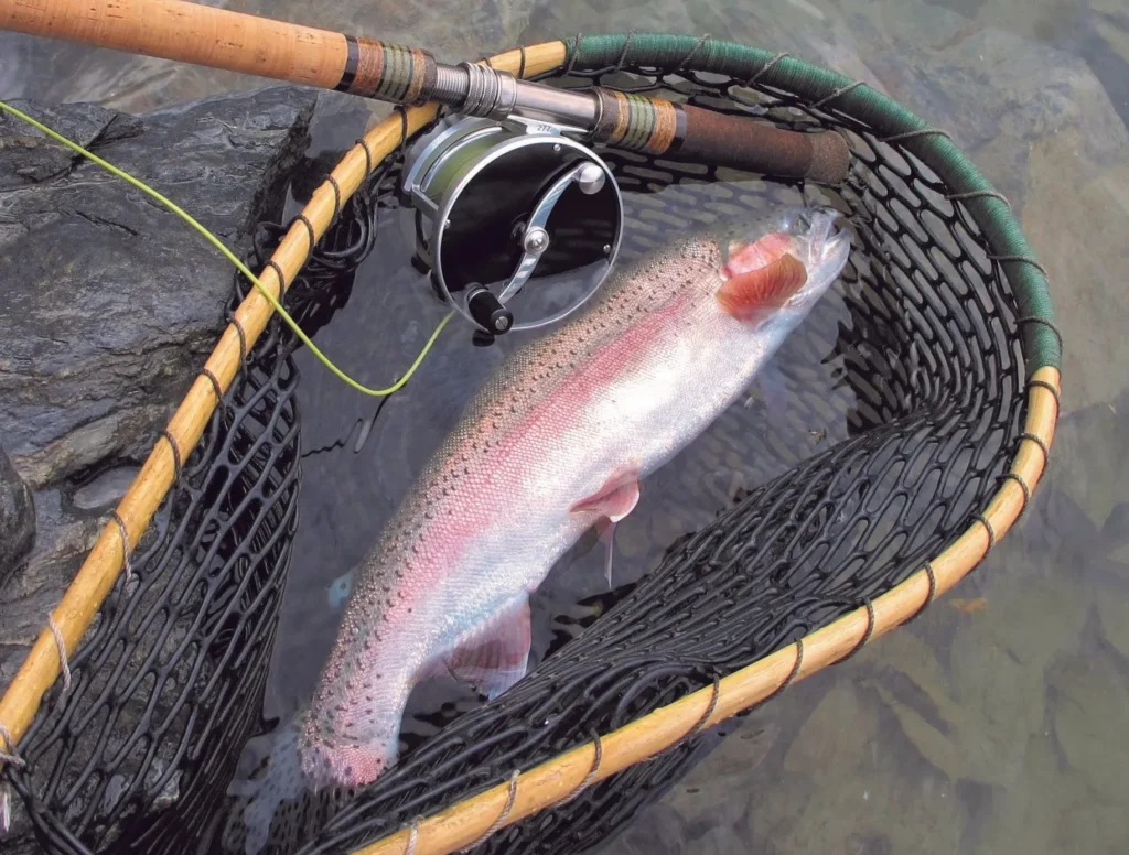 Trout Spey and the Art of the Swing with Steven Bird