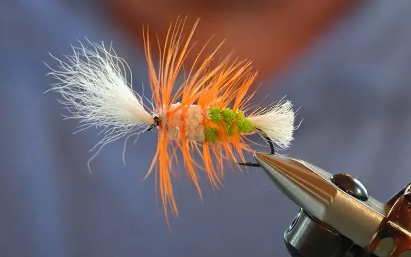 Trout Spey and the Art of the Swing with Steven Bird