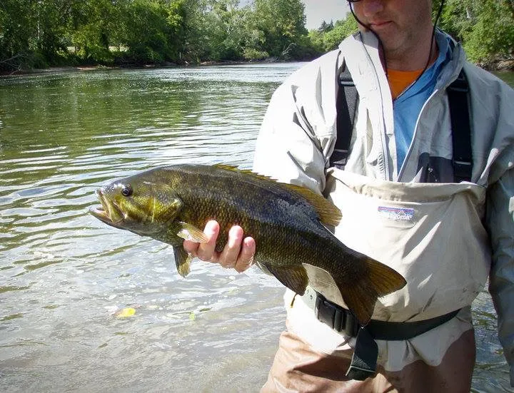 Swinging for Steelhead in Indiana with Tim Scott