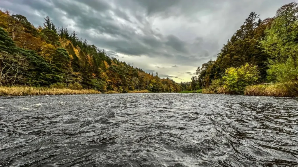 English-Trout-Fishing-Atlantic-salmon-river-in-England.