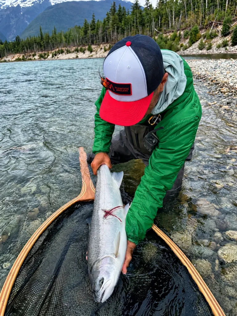 Dean River Steelhead